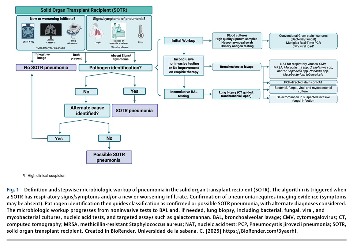 6a9a328300615.png Pneumonia after Solid Organ Transplantation 2.png