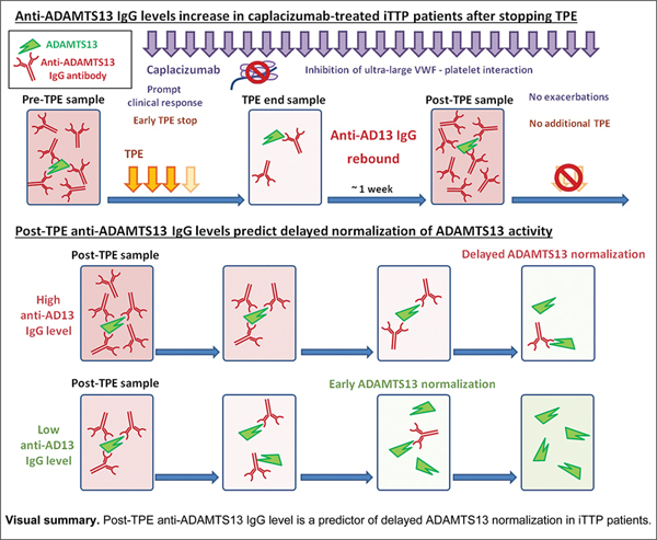 6a9e1f2376e6b.jpg High Anti-ADAMTS13 IgG.jpg