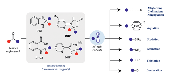 6aa8a7fd436d5.gif Ketone-Derived Pro-aromatic Reagents.gif