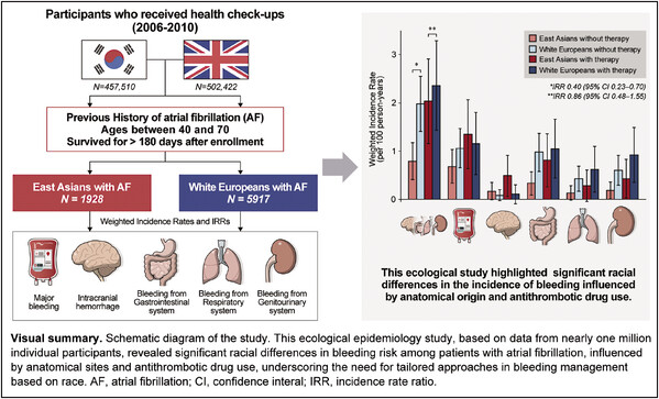 Racial Differences in Bleeding Risks.jpg