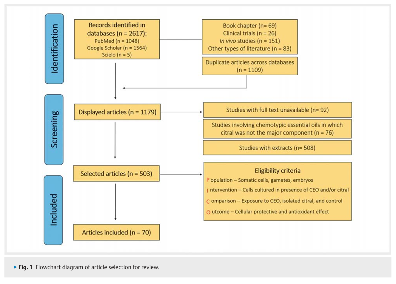 6ac719037019b.png Antioxidant and Cytoprotective Role 2.png
