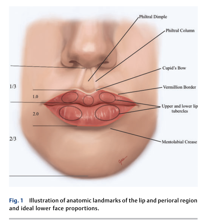 6ac725e032764.png Lip Rejuvenation Options 2.png