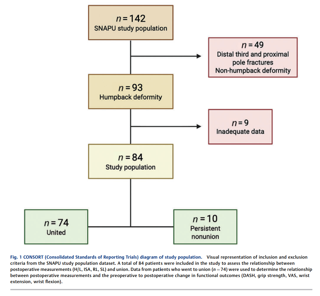 6ae40c2a63c2f.png The Effect of Scaphoid Morphology 2.png